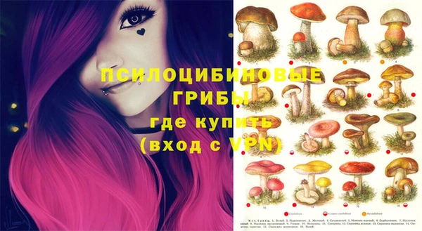 таблы Белокуриха